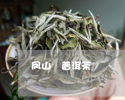 凤山 普洱茶/2023042818300